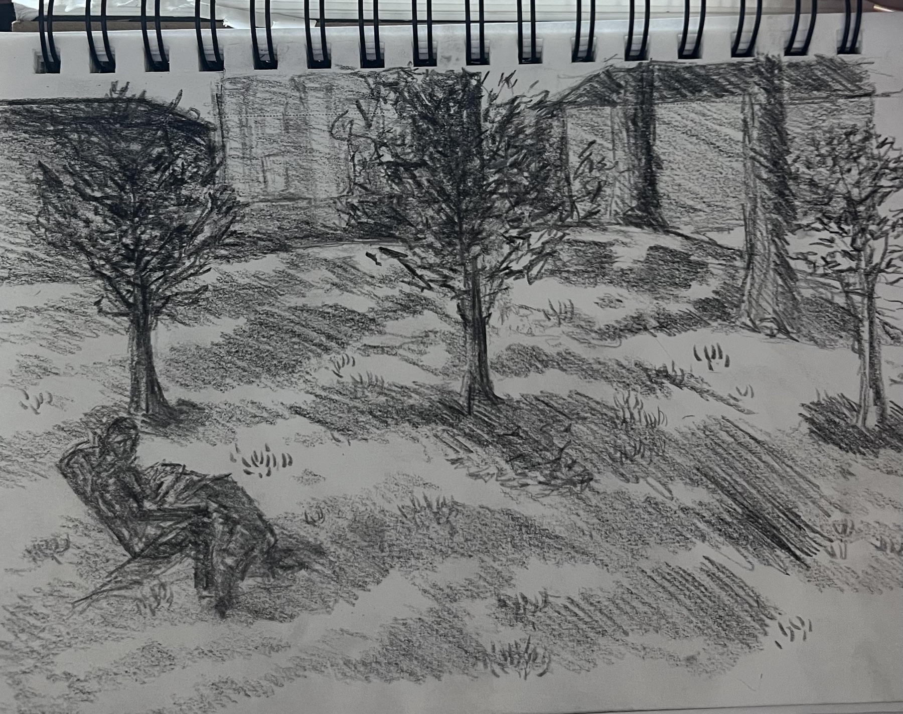 Charcoal landscape drawing