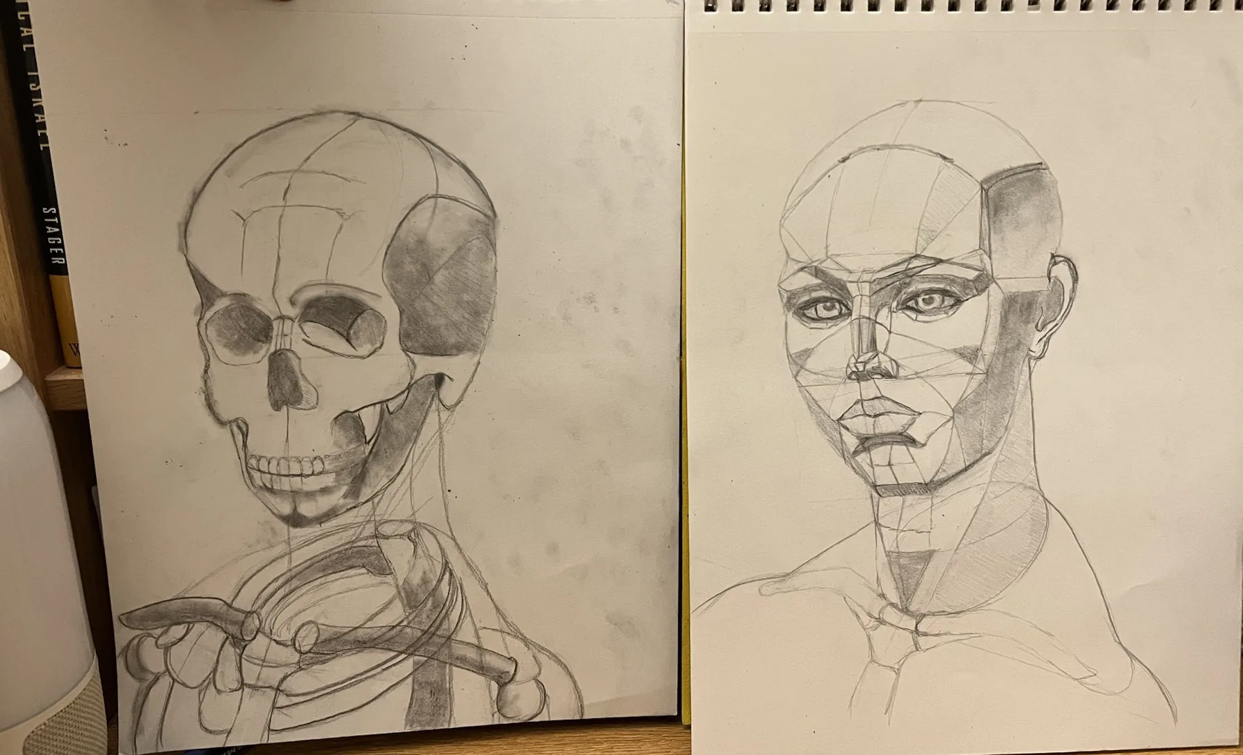 Anatomical skull and portrait studies