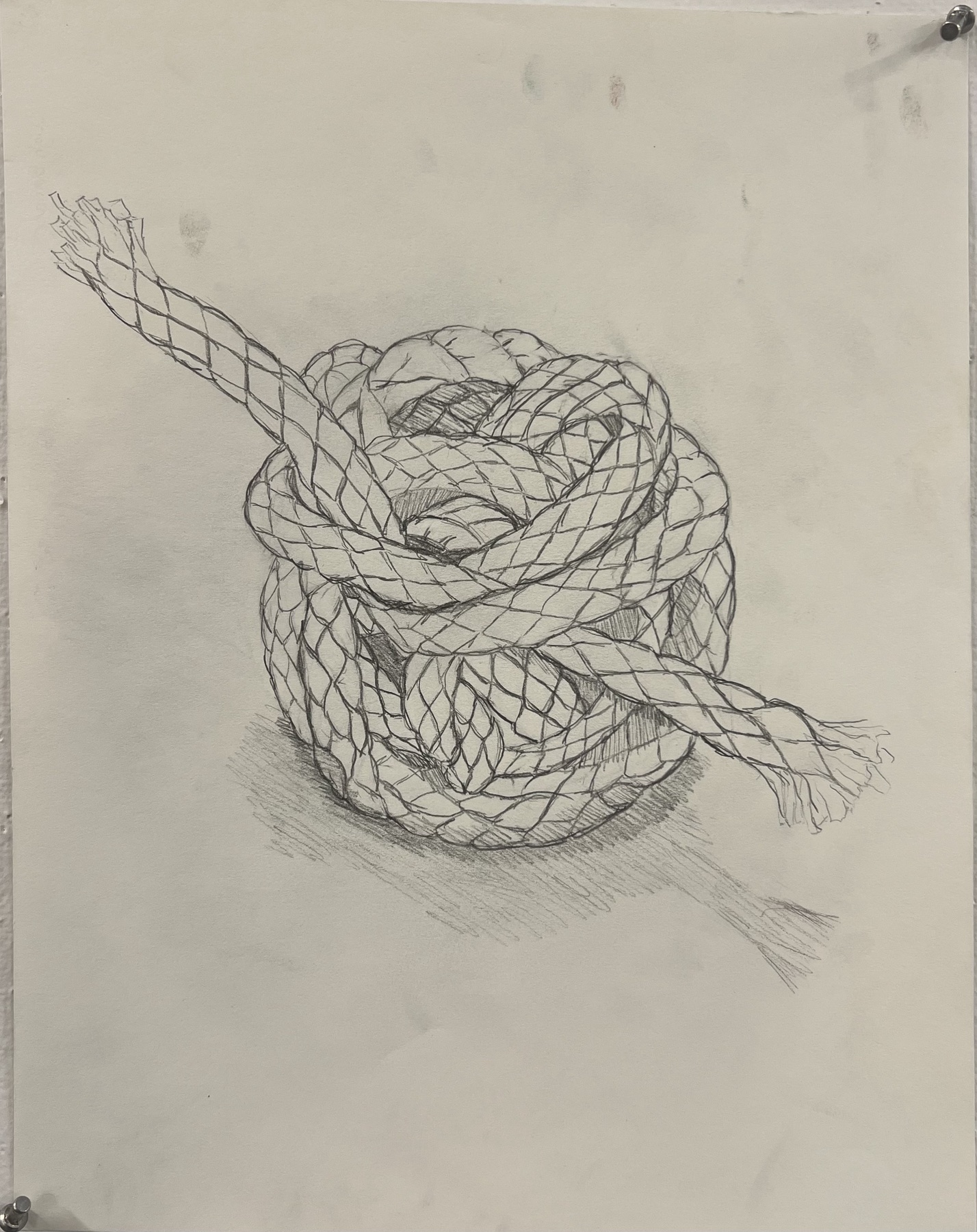 Detailed pencil drawing of a knot