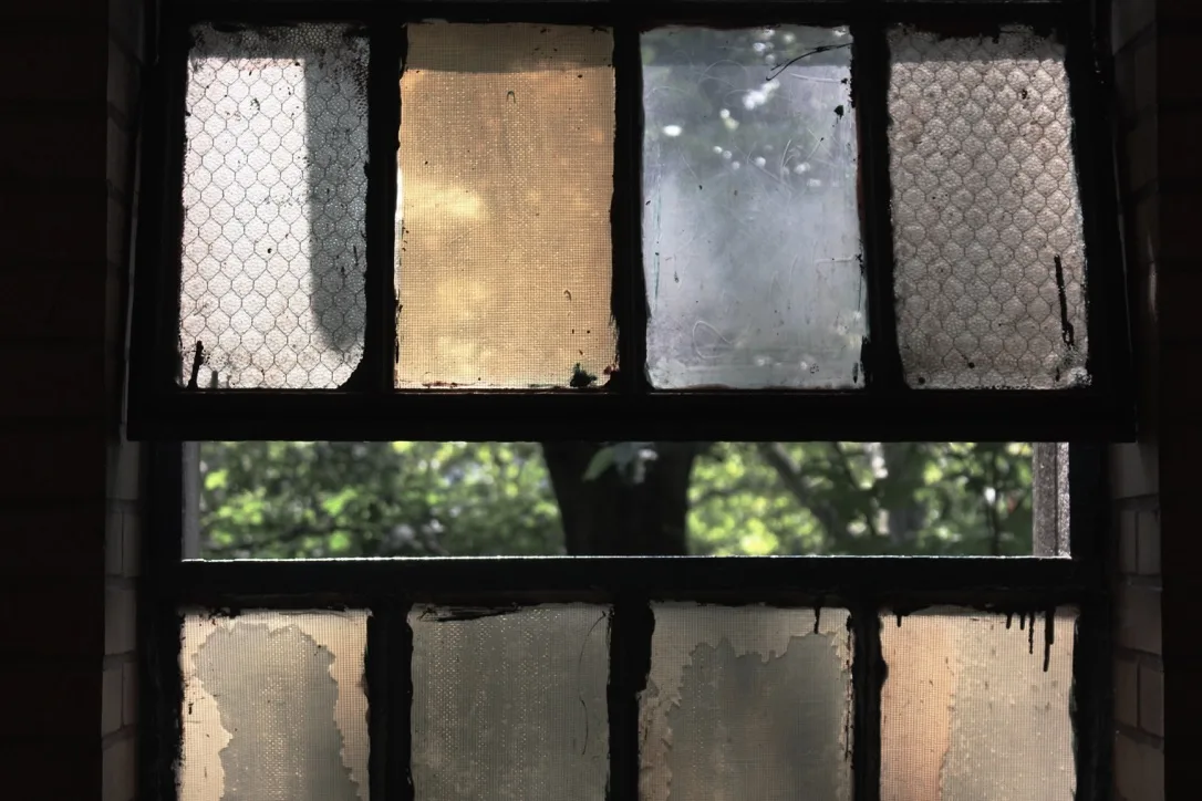 Weathered industrial window overlooking green trees